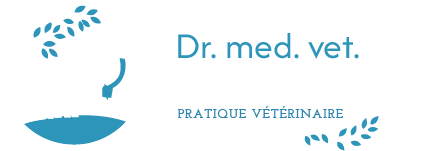 LaurenceGavillet logo blanc