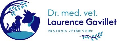 LaurenceGavillet logo couleur